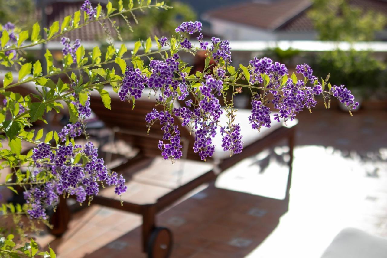Malaga Hills Double Comfort Boutique & Wellness Eco-hotel -adults Only- Hotel